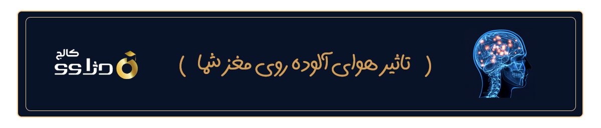 تاثیر هوای آلوده روی مغز شما